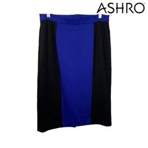 Ashra Women's‎ Colorblocked Flat Front Waist Pencil Skirt